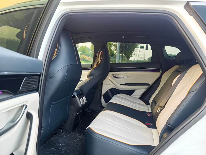BYD Song Plus Hybrid/EV, 2022 — фото 6 из 9