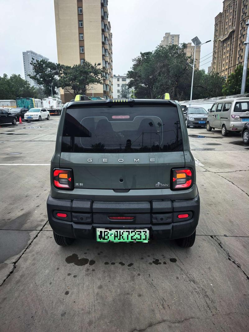 Geely Galaxy Panda Mini, 2023 — фото 5 из 8