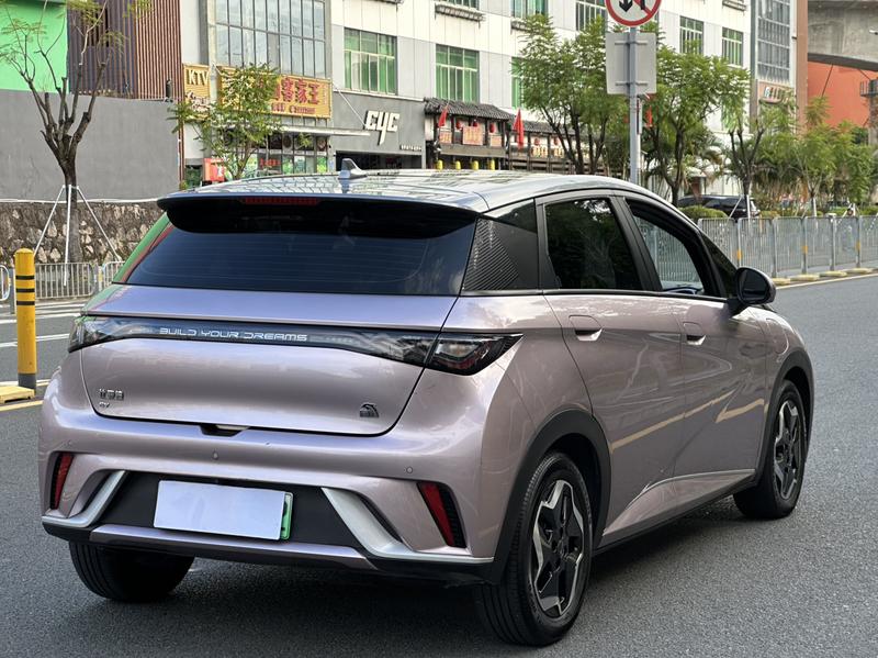 BYD Dolphin, 2021 — фото 6 из 12