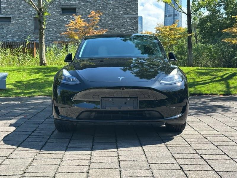 Tesla Model Y, 2023 — фото 2 из 10
