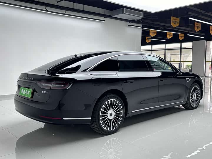 Stelato S9, 2025 — фото 4 из 9