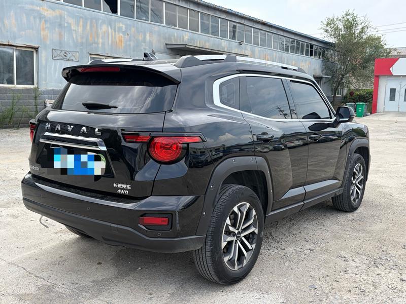 Haval H-Dog, 2024 — фото 4 из 10