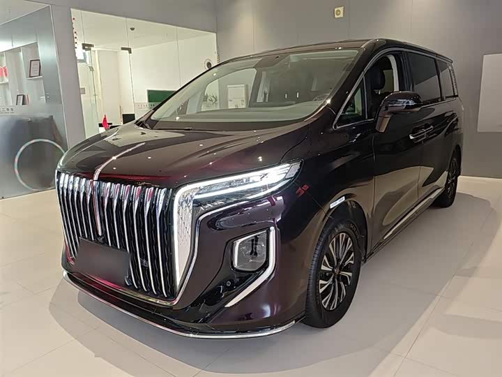 Hongqi HQ9 Hybrid, 2024 — фото 2 из 9