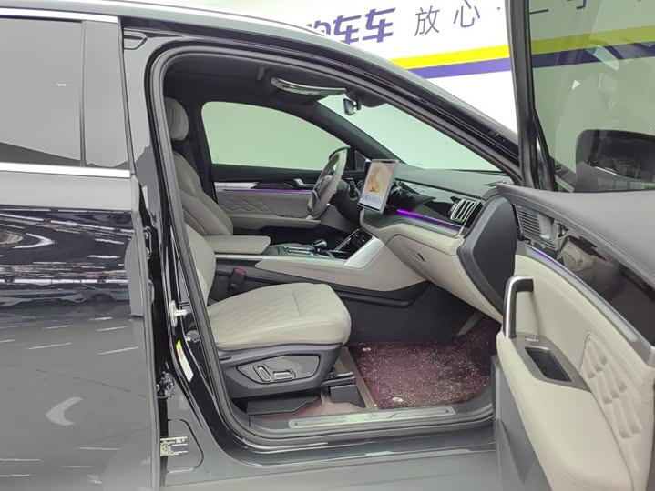 BYD Tang Hybrid/EV, 2024 — фото 8 из 9
