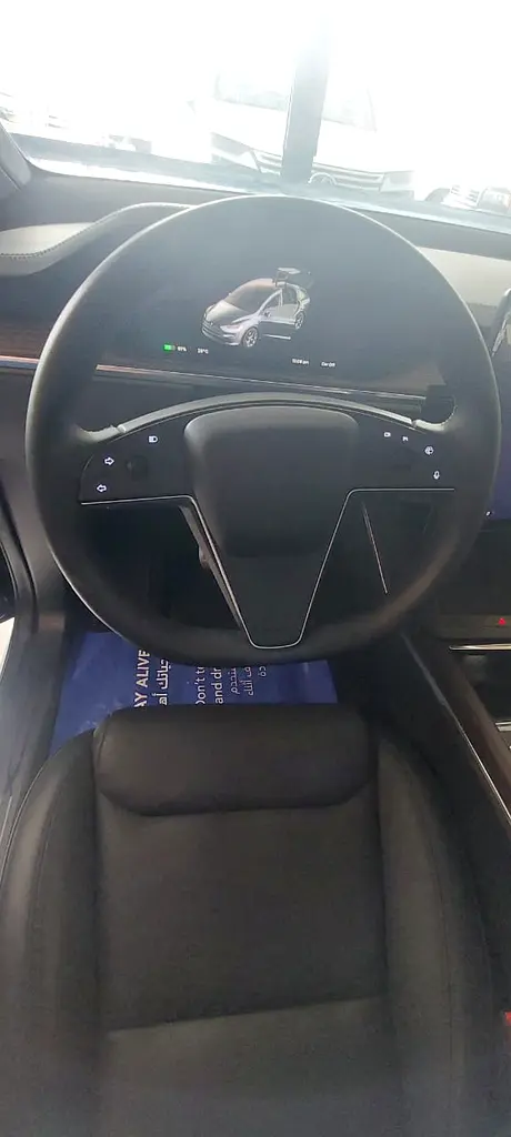 Tesla Model X, 2024 — фото 9 из 10