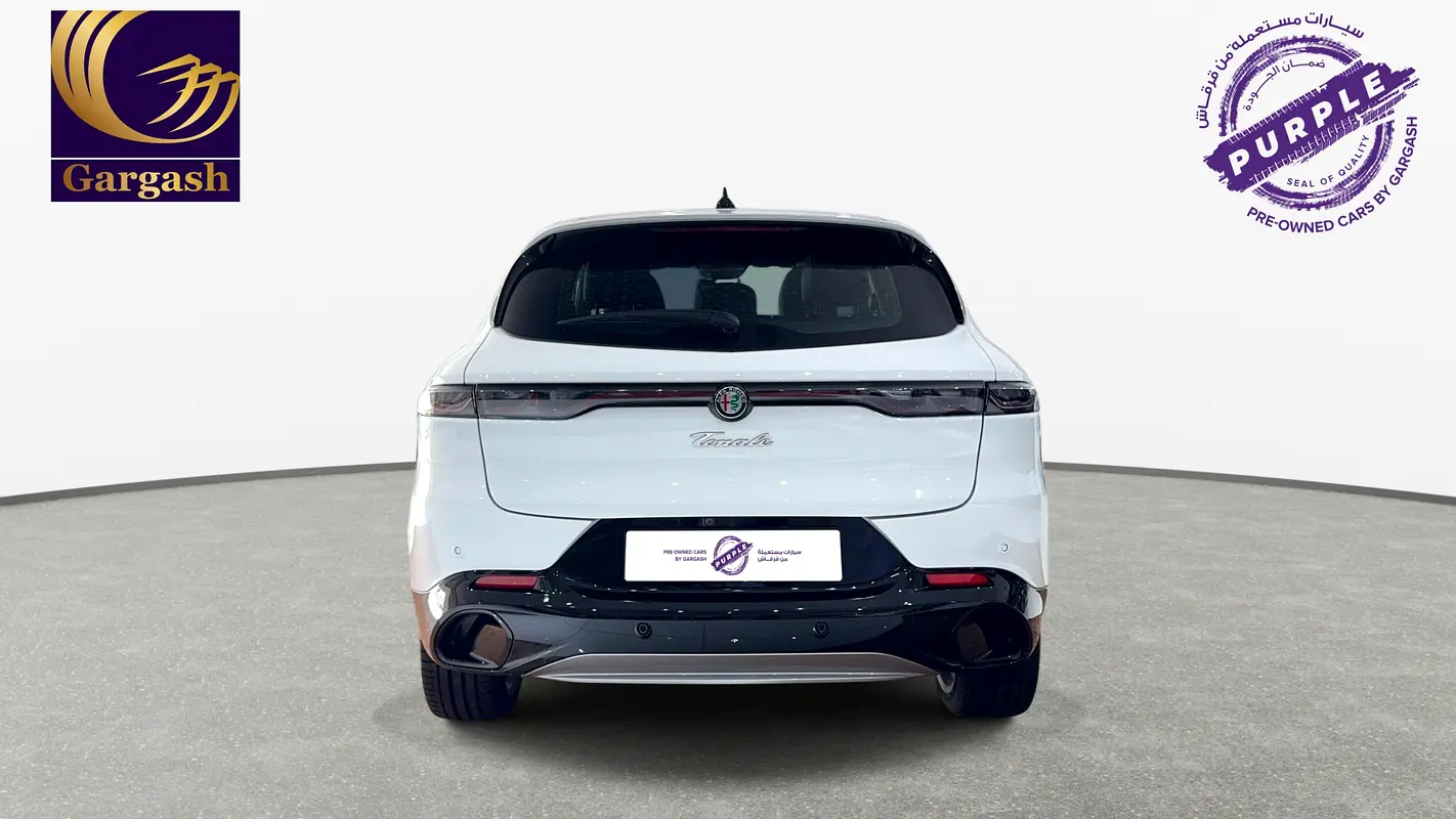 Alfa Romeo Tonale, 2024 — фото 4 из 10