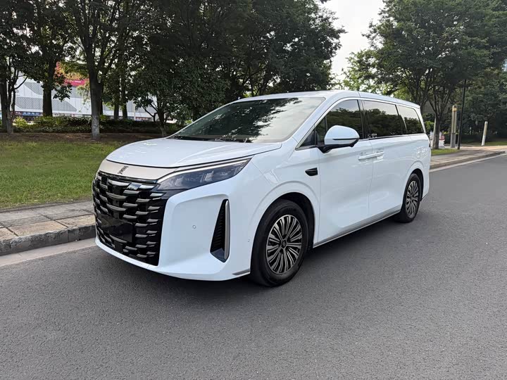 BYD Xia, 2025 — купить в Туле под ключ