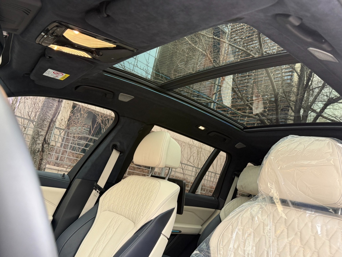 BMW X7, 2022 — фото 11 из 12
