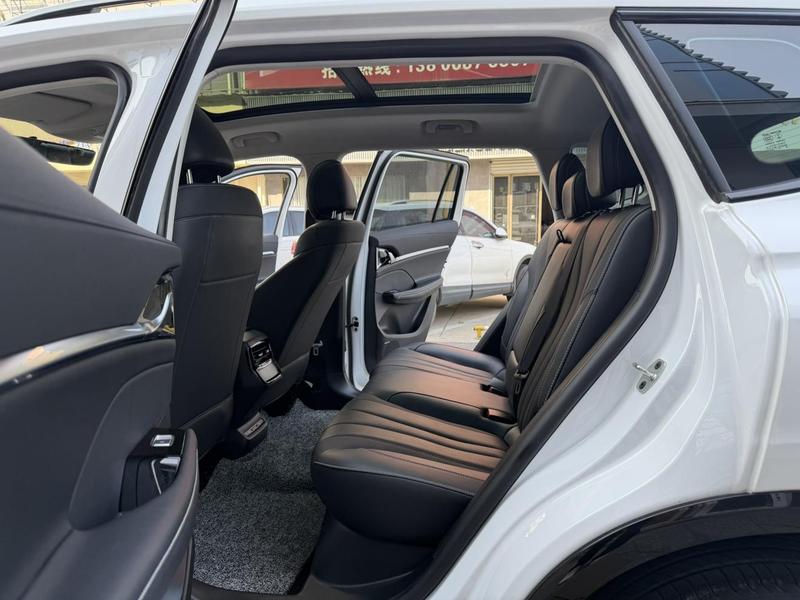 Roewe RX5 Max, 2023 — фото 9 из 10