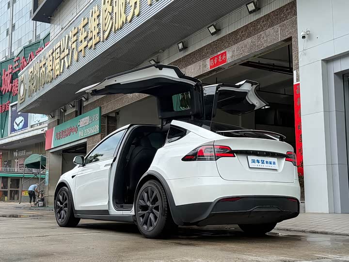 Tesla Model X, 2023 — фото 3 из 9