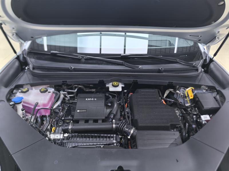 BYD Sea Lion 06 Hybrid/EV, 2026 — фото 9 из 12