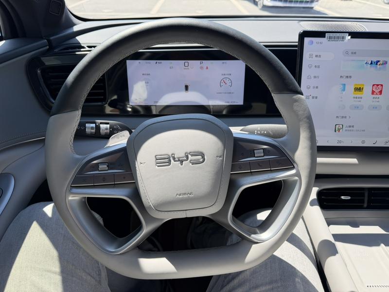 BYD Sea Lion 06 Hybrid/EV, 2025 — фото 12 из 12