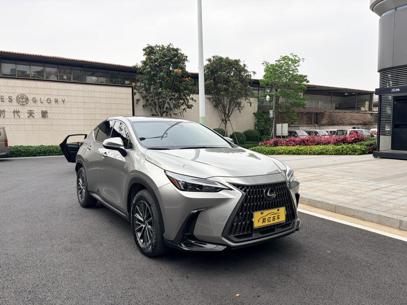 Lexus NX, 2022 — фото 3 из 12