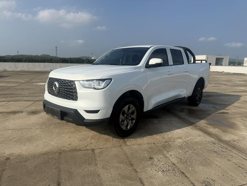 Great Wall Pao, 2022 — купить в Перми под ключ