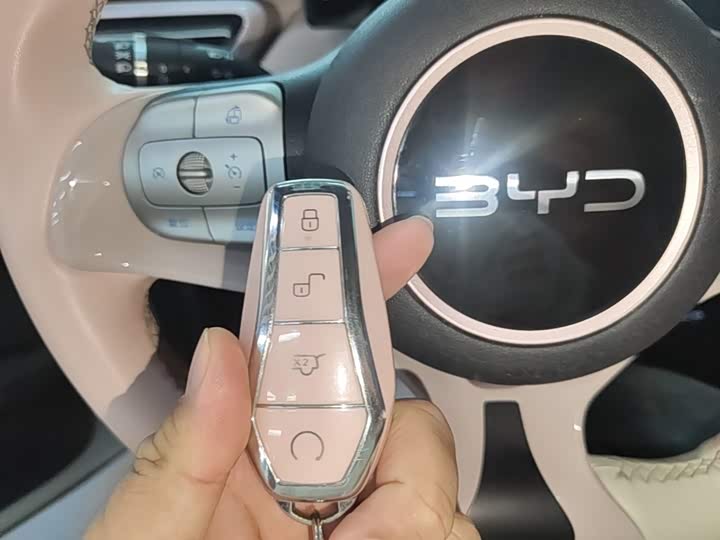 BYD Seagull, 2025 — фото 9 из 9