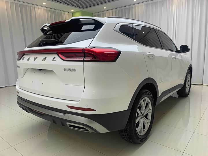 Haval H6, 2023 — фото 4 из 9