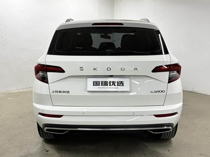 Skoda Karoq, 2022 — фото 9 из 9