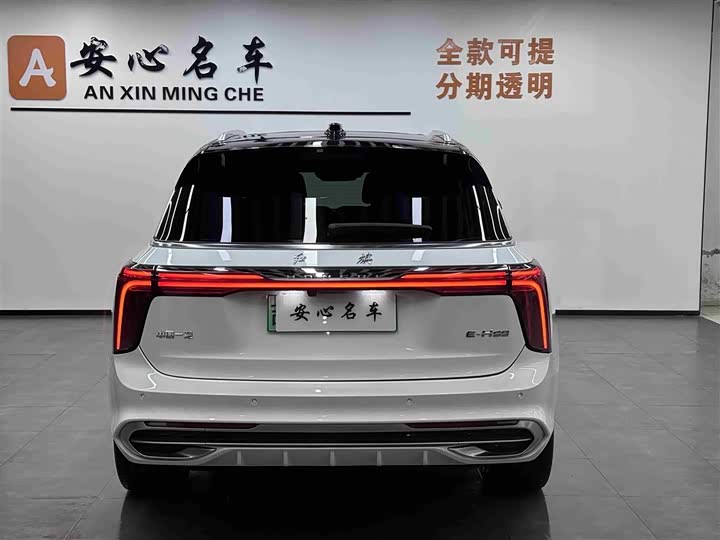 Hongqi E-HS9, 2023 — фото 4 из 9