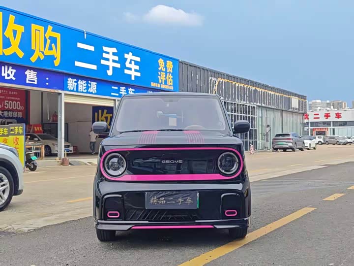 Geely Galaxy Panda Mini, 2024 — фото 2 из 9