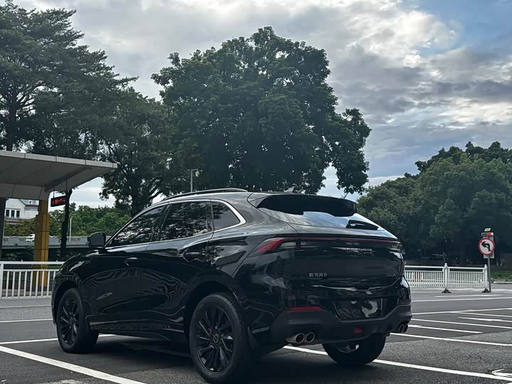 Dongfeng Forthing T5 EVO, 2021 — фото 4 из 9