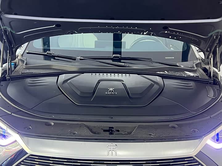 BYD Song Plus Hybrid/EV, 2023 — фото 4 из 9