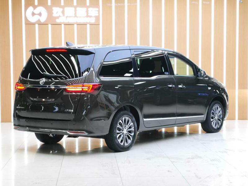 Buick GL8 ES, 2022 — фото 6 из 12
