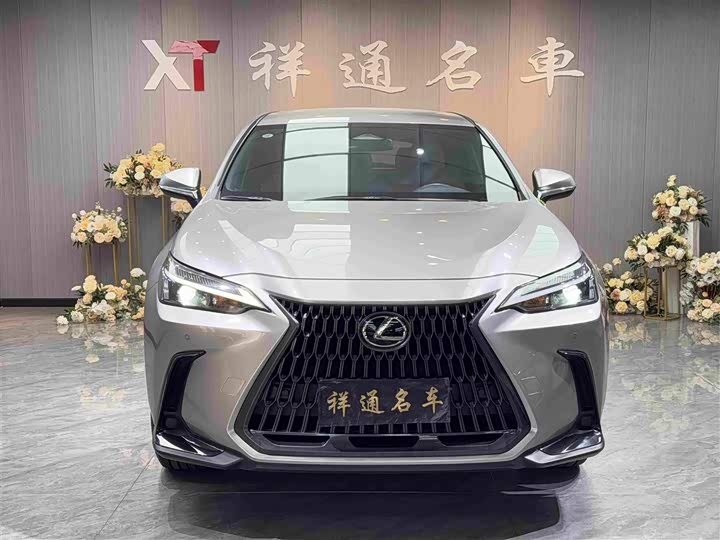 Lexus NX, 2023 — фото 2 из 9