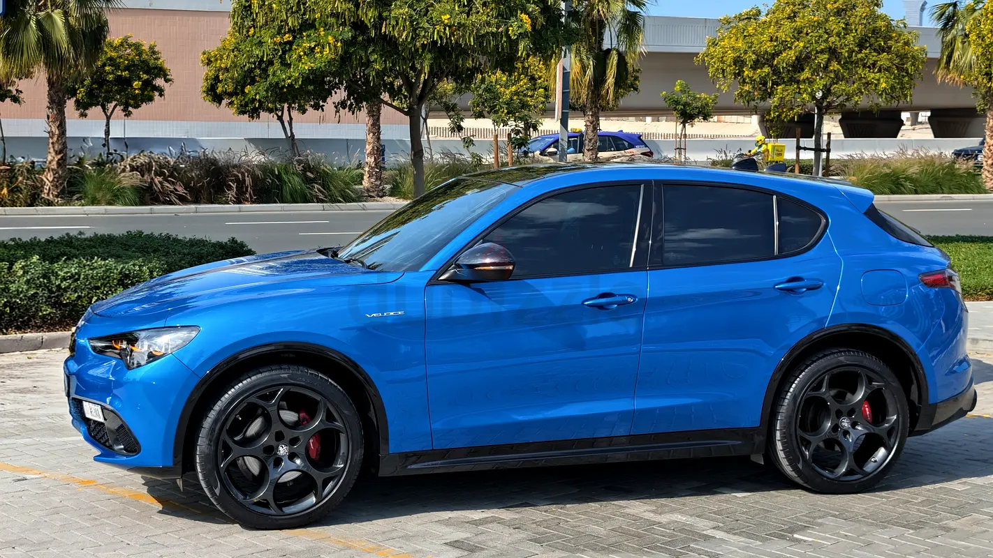 Alfa Romeo Stelvio, 2024 — фото 7 из 10
