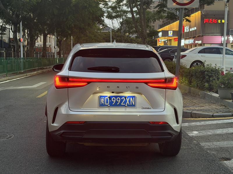 Lexus NX, 2022 — фото 5 из 11