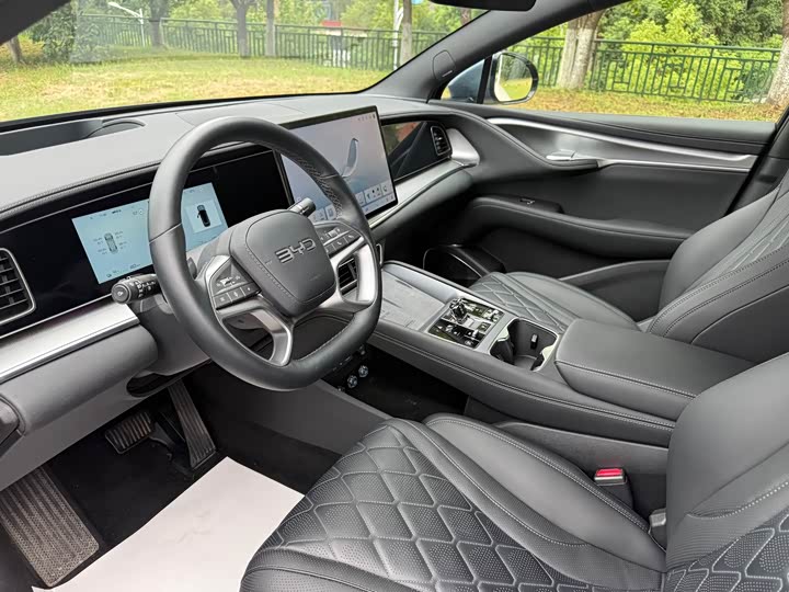 BYD Sea Lion 07 EV, 2025 — фото 8 из 9