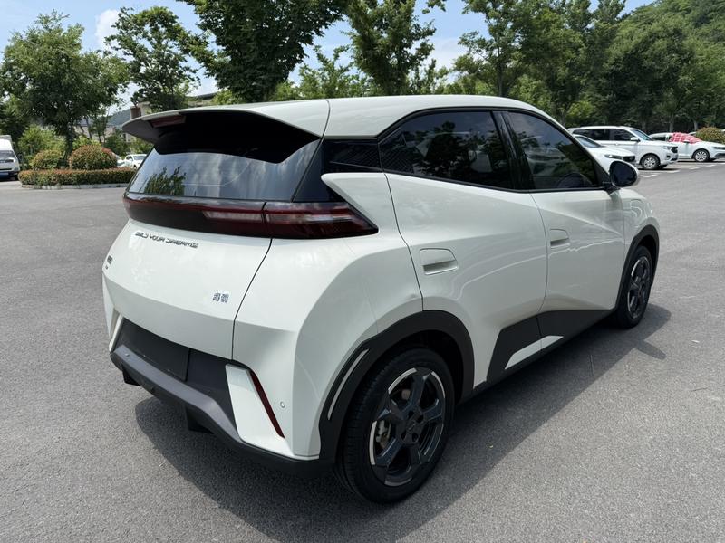 BYD Seagull, 2023 — фото 6 из 10
