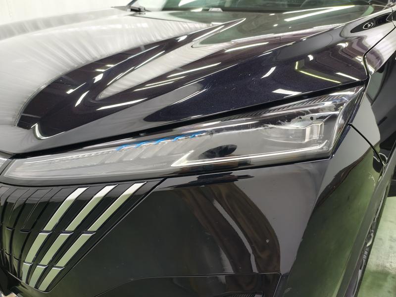 Dongfeng Aeolus Mage, 2023 — фото 9 из 12