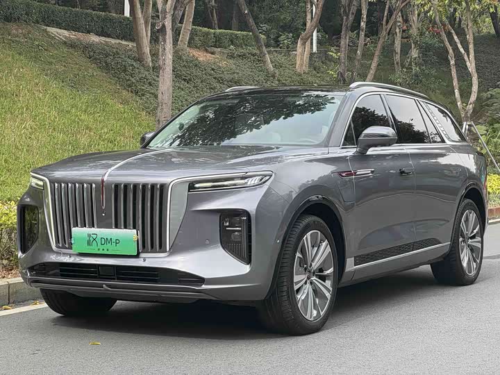 Hongqi E-HS9, 2022 — купить в Казани под ключ