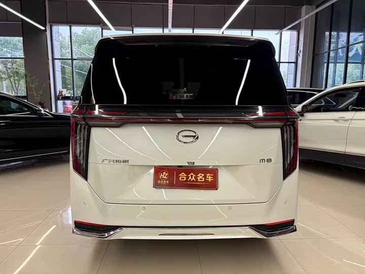 GAC Trumpchi M8, 2023 — фото 8 из 9
