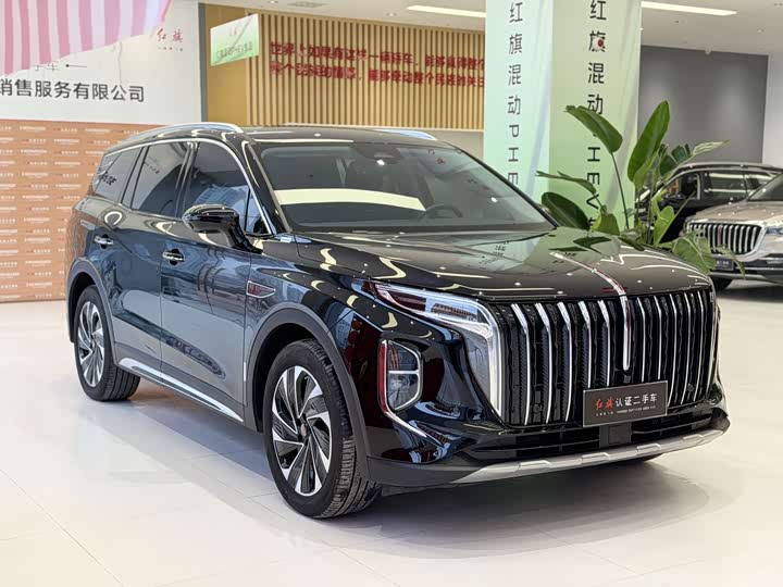Hongqi HS7 Hybrid, 2024 — фото 6 из 9