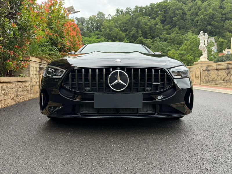 Mercedes-Benz AMG GT, 2025 — фото 2 из 9
