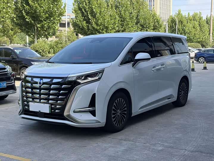 Denza D9, 2024 — купить в Смоленске под ключ