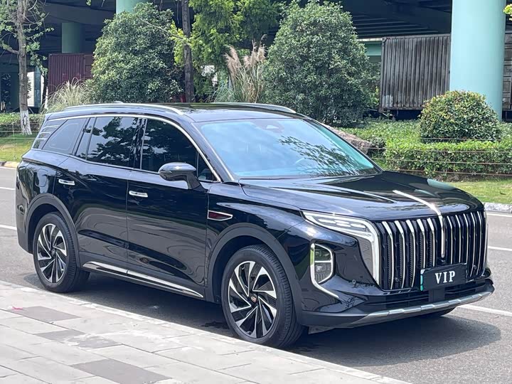Hongqi HS7 Hybrid, 2024 — фото 3 из 9