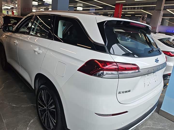 Changan Oshan X7, 2021 — фото 5 из 9