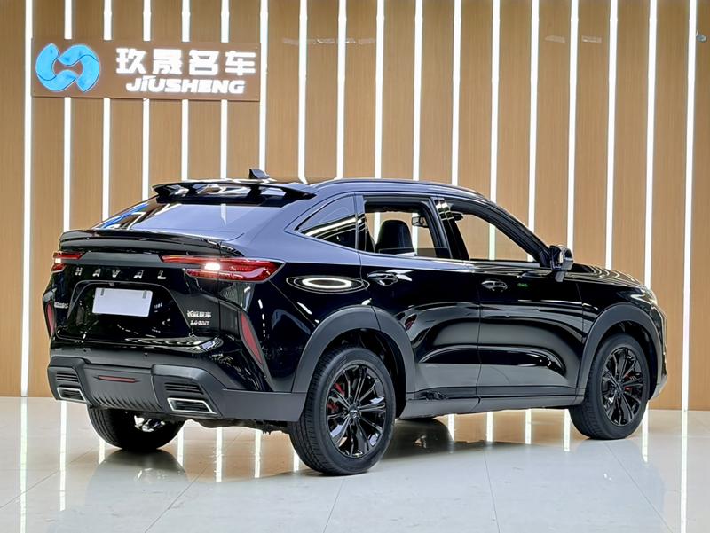 Haval H6S, 2021 — фото 6 из 12