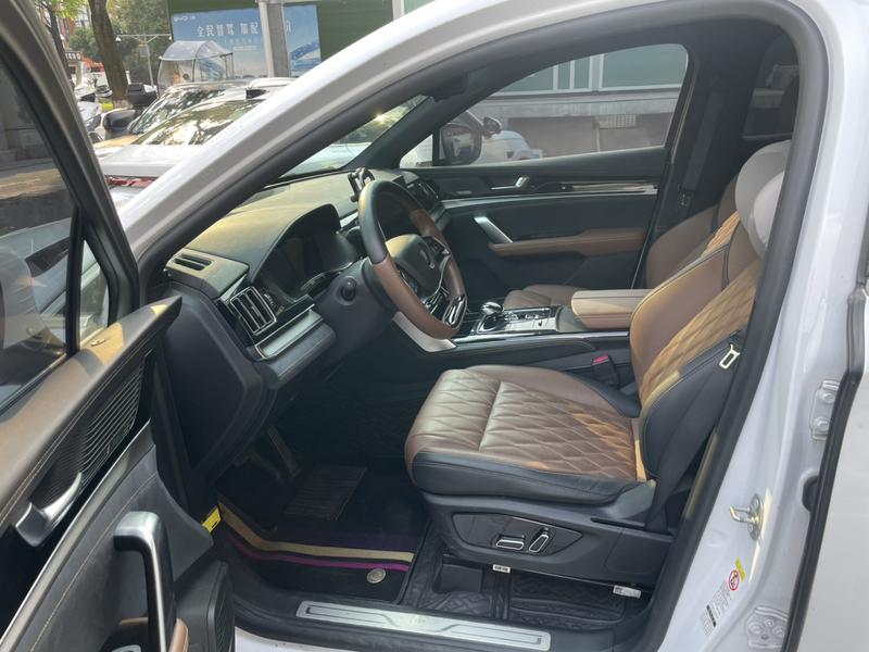 BYD Tang Hybrid/EV, 2021 — фото 7 из 9