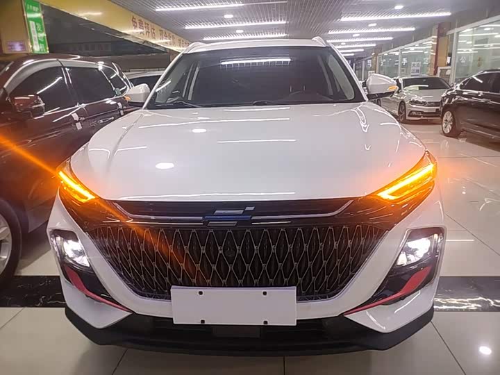 Changan Oshan X7 Plus, 2023 — фото 3 из 9