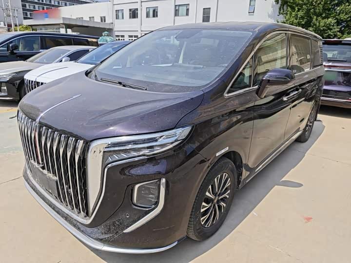 Hongqi HQ9 Hybrid, 2024 — фото 2 из 9
