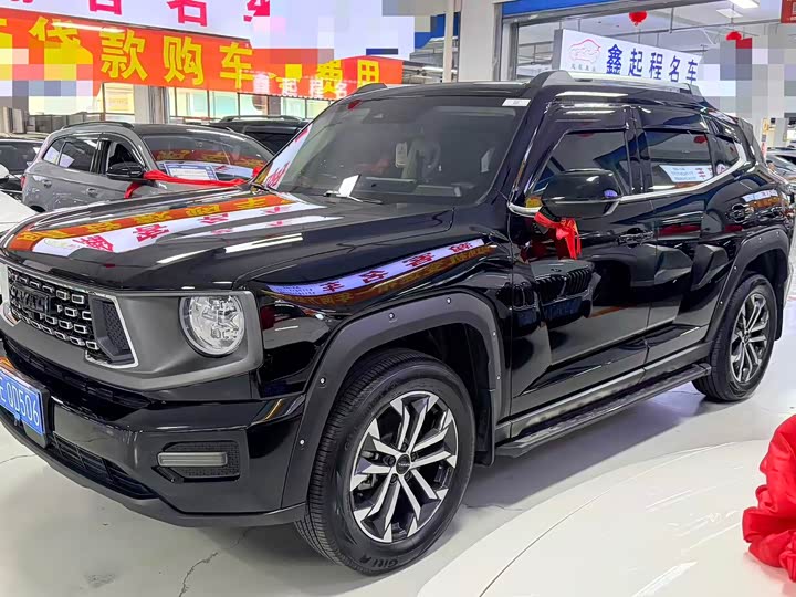 Haval H-Dog, 2025 — купить в Перми под ключ