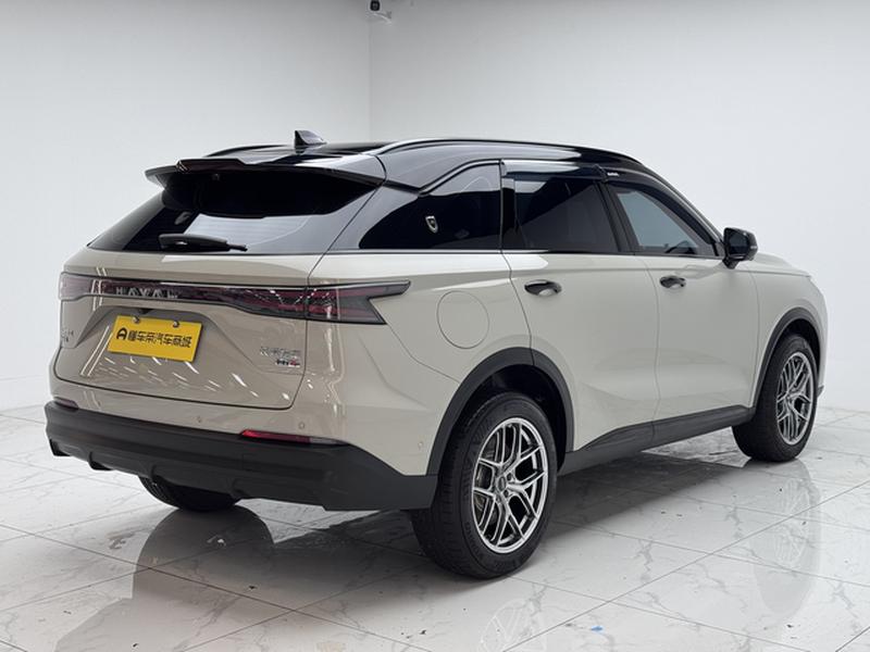 Haval Ruge Max, 2025 — фото 7 из 12