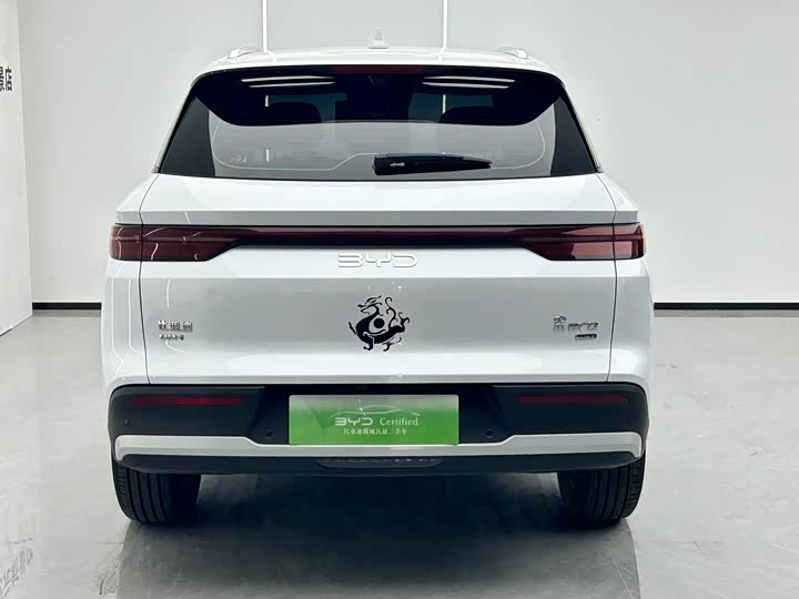 BYD Song Pro Hybrid, 2025 — фото 4 из 9