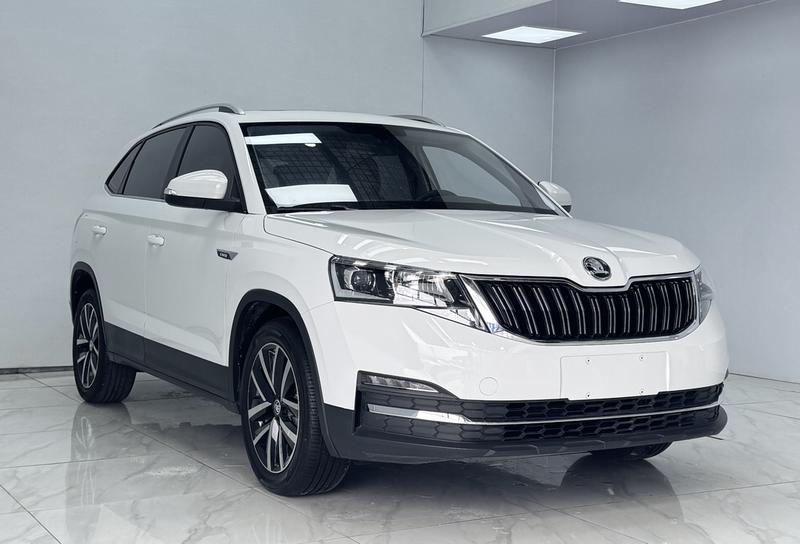 Skoda Kamiq, 2023 — фото 3 из 12