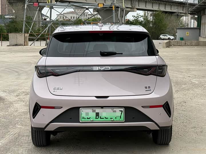 BYD Dolphin, 2025 — фото 5 из 9