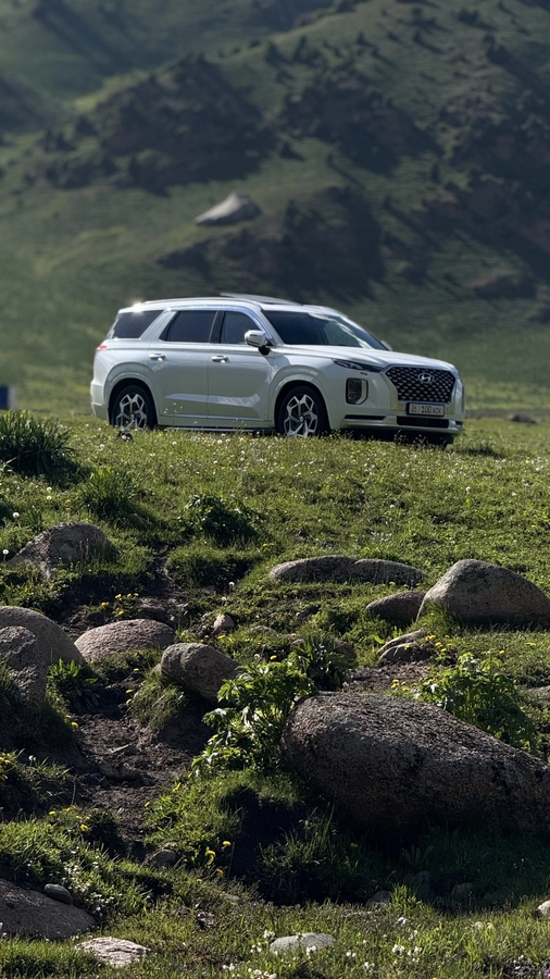 Hyundai Palisade, 2021 — фото 3 из 12