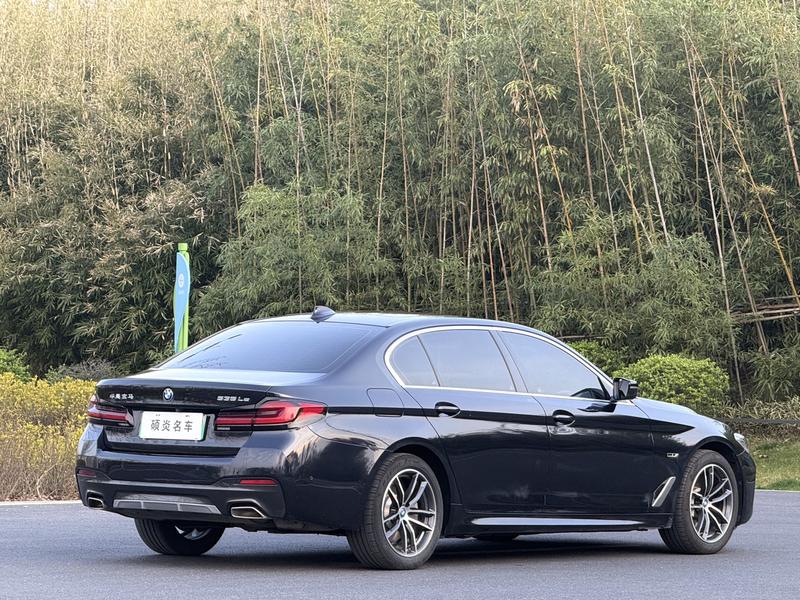 BMW 5 Series Hybrid, 2022 — фото 6 из 11
